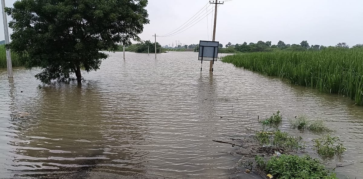 ಔರಾದ್ | ಮಾಂಜ್ರಾ ನದಿ ಪ್ರವಾಹ: ರೈತರಲ್ಲಿ ಆತಂಕ