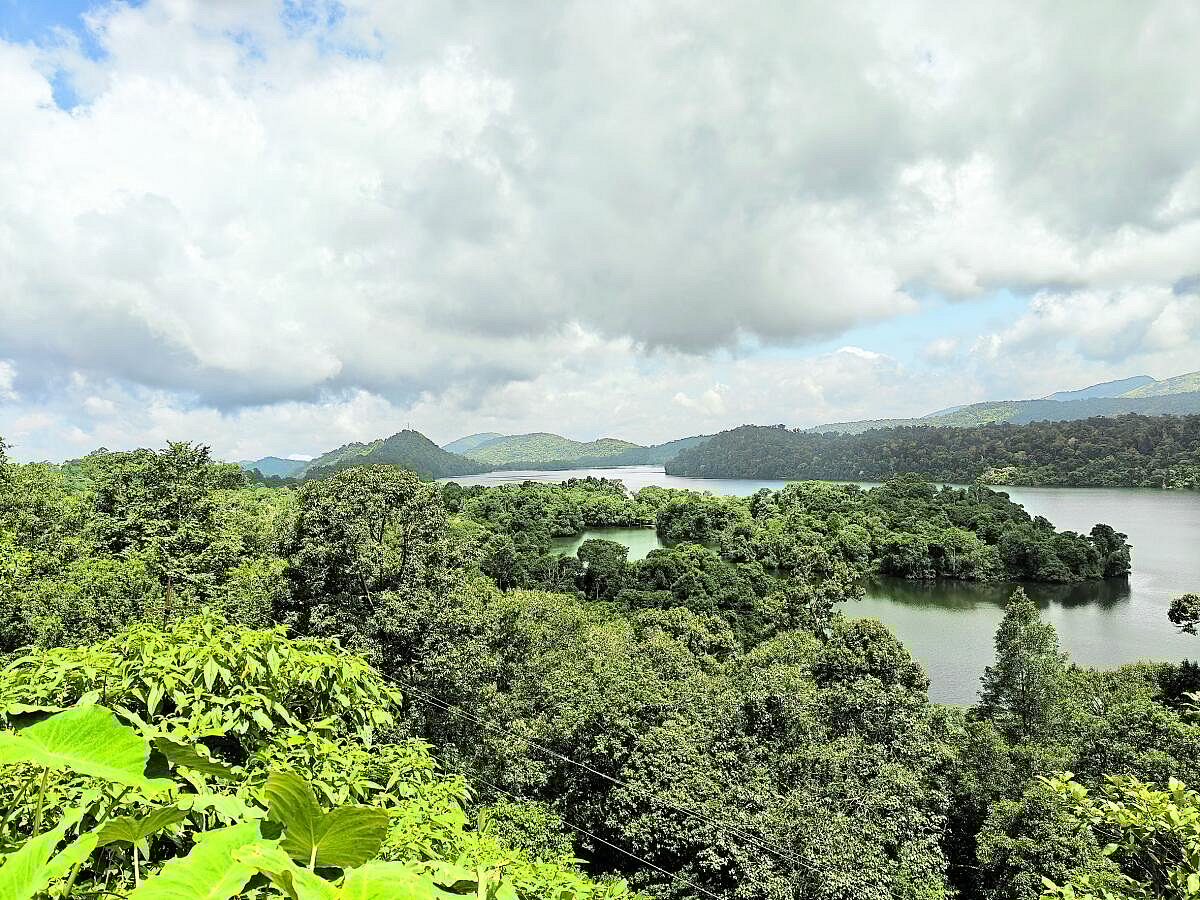 ವಾಲ್‌ಪರೈ ಹಾದಿಯಲ್ಲಿ ಕಂಡ ಚಿತ್ರಗಳು