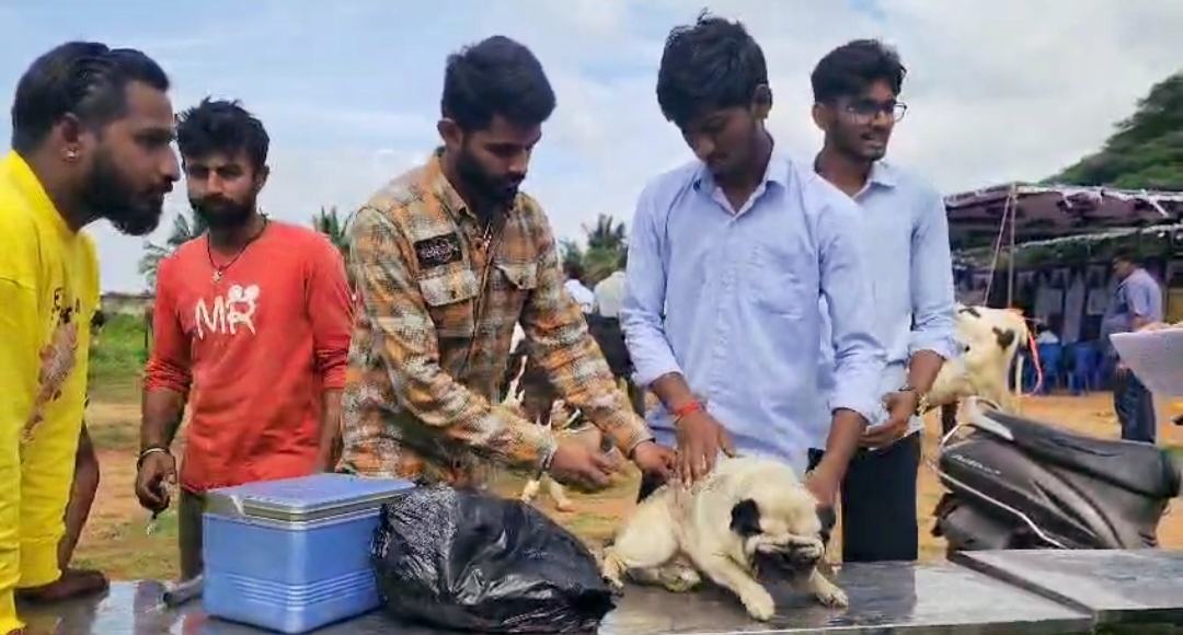 ಮಾಗಡಿ ತಾಲ್ಲೂಕಿನ ಚಕ್ರಬಾವಿ ಗ್ರಾಮದಲ್ಲಿ ಆಯೋಜಿಸಿದ್ದ ಶಿಬಿರದಲ್ಲಿ ಸಾಕುಪ್ರಾಣಿಗೆ ರೇಬೀಸ್ ಚುಚ್ಚುಮದ್ದು ನೀಡುತ್ತಿರುವುದು