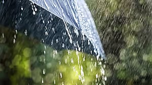 ಇಂದು ರಾಜ್ಯದ ಕೆಲವೆಡೆ ಭಾರಿ ಮಳೆ ಸಾಧ್ಯತೆ: ಹವಾಮಾನ ಇಲಾಖೆ ಮುನ್ಸೂಚನೆ 
