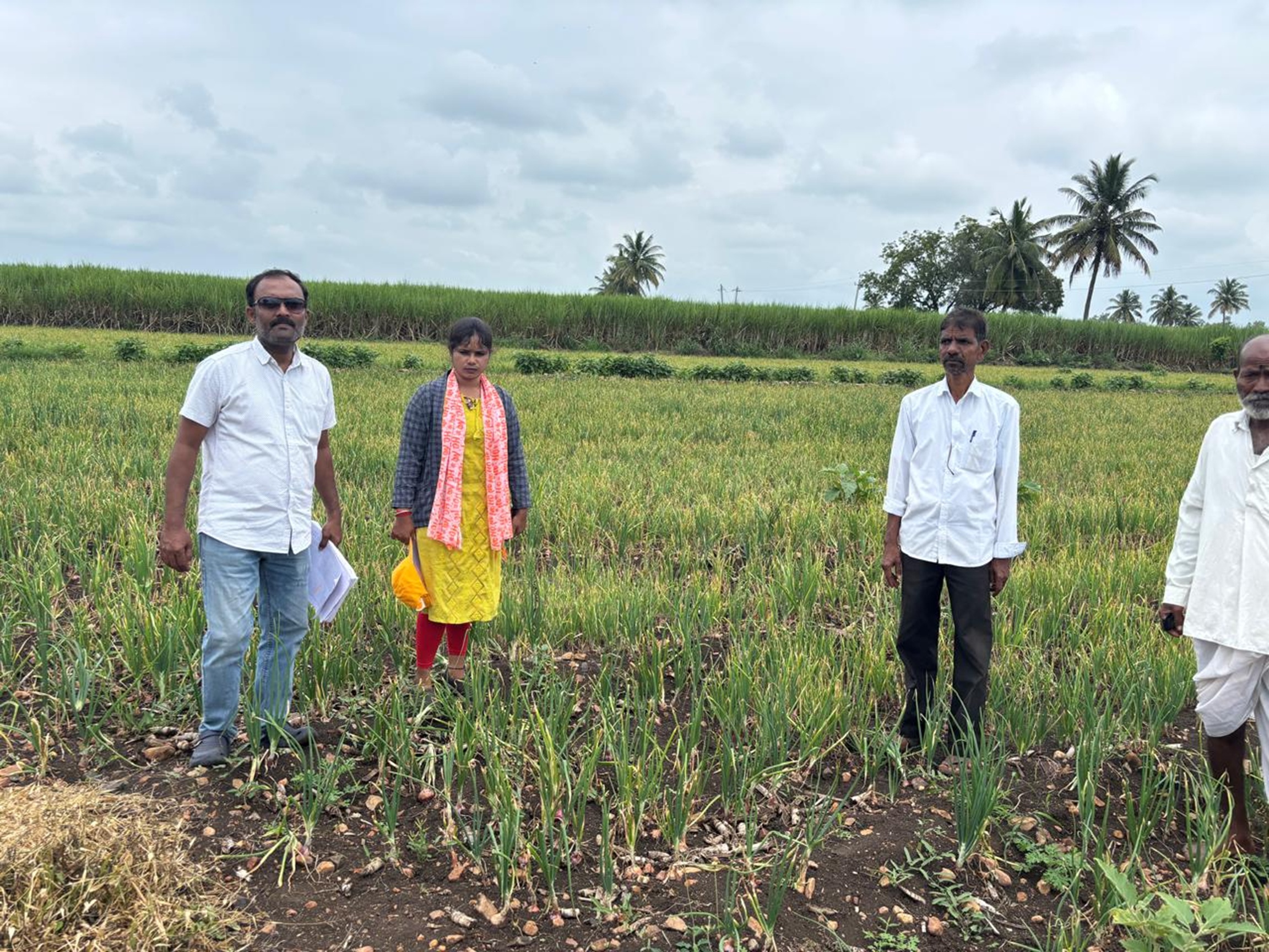 ಮುಧೋಳ ತಾಲ್ಲೂಕು ಕಸಬಾ ಜಂಬಗಿ ಗ್ರಾಮದ ಈರುಳ್ಳಿ ಹಾನಿಯ ಸಮೀಕ್ಷೆ ನಡೆಸುತ್ತಿರುವ ತೋಟಗಾರಿಕೆ ಹಾಗೂ ಕಂದಾಯ ಇಲಾಖೆಯ ಅಧಿಕಾರಿಗಳು