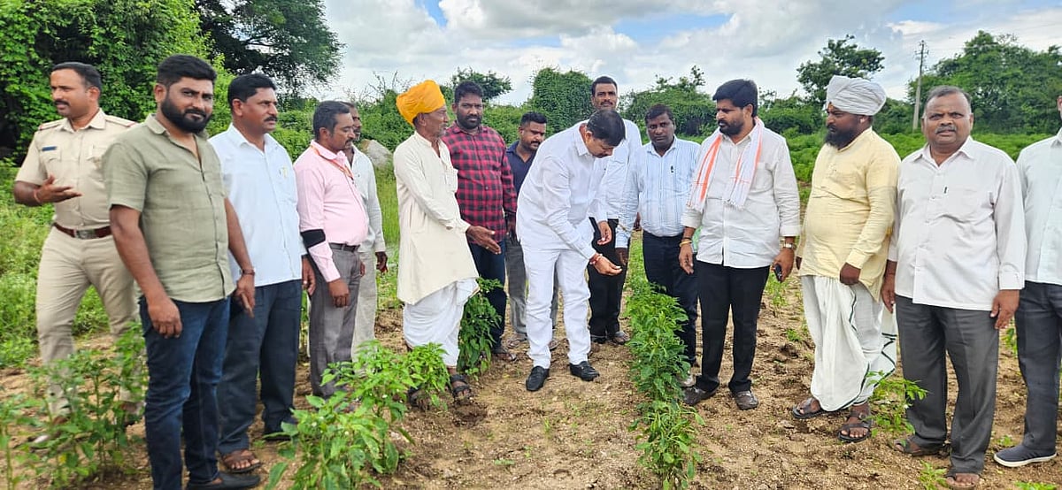 ಹುಣಸಗಿ | ಮಳೆಗೆ ಬೆಳೆ ಹಾನಿ; ಮನೆ ಕುಸಿದು ಮೂವರಿಗೆ ಗಾಯ