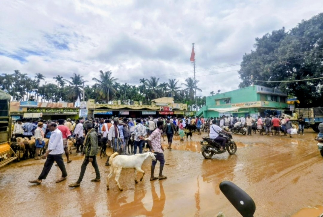 ಮಳೆಯಲ್ಲಿಯೇ ಕುರಿ ಮೇಕೆ ವ್ಯಾಪಾರ