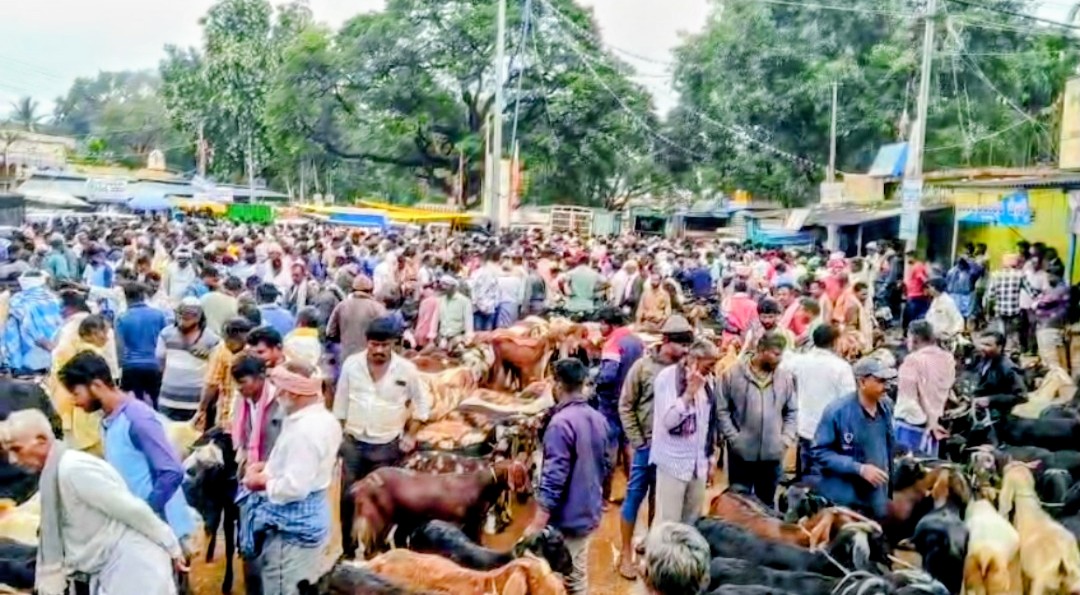 ಕಲ್ಲೂರಿನಲ್ಲಿ ಕುರಿ ಮೇಕೆ ವ್ಯಾಪಾರ