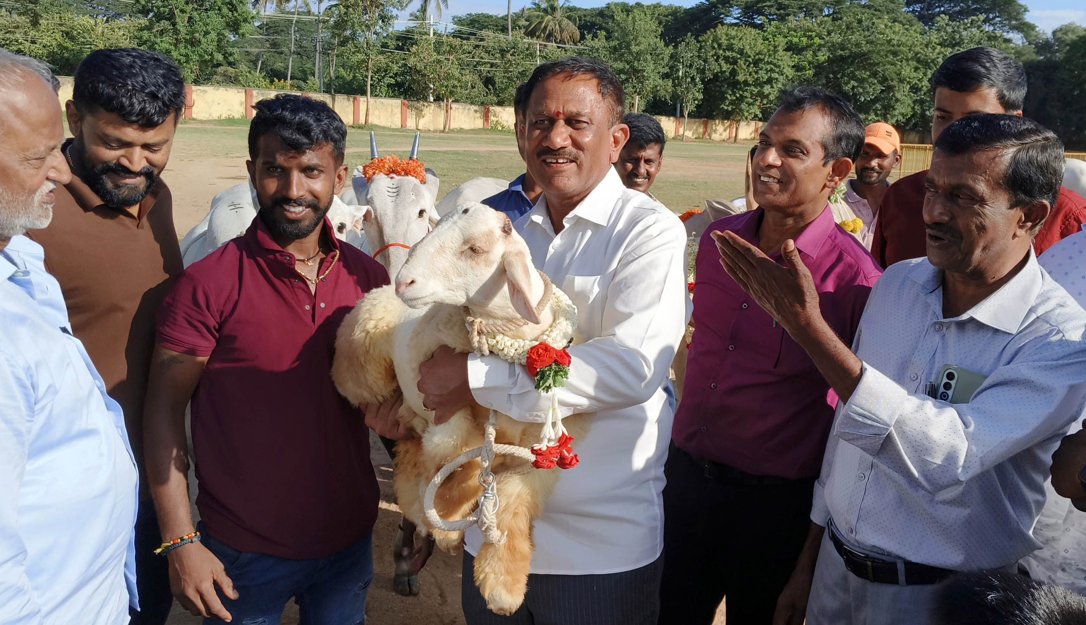 ಶ್ರೀರಂಗಪಟ್ಟಣ ದಸರಾ ಉತ್ಸವದಲ್ಲಿ ಭಾನುವಾರ ನಡೆದ ರಾಸುಗಳ ಮೆರವಣಿಗೆಗೆ ಚಾಲನೆ ನೀಡಿದ ಶಾಸಕ ರಮೇಶ ಬಂಡಿಸಿದ್ದೇಗೌಡ ಬಂಡೂರು ತಳಿ ಕುರಿಯನ್ನು ಎತ್ತಿಕೊಂಡು ಸಂಭ್ರಮಿಸಿದರು