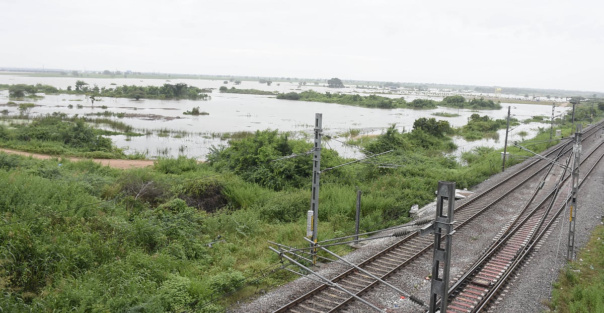 ಯಾದಗಿರಿ | ಭೋರ್ಗರೆಯುತ್ತಿದೆ ‘ಭೀಮೆ’: ತಪ್ಪದ ಬವಣೆ