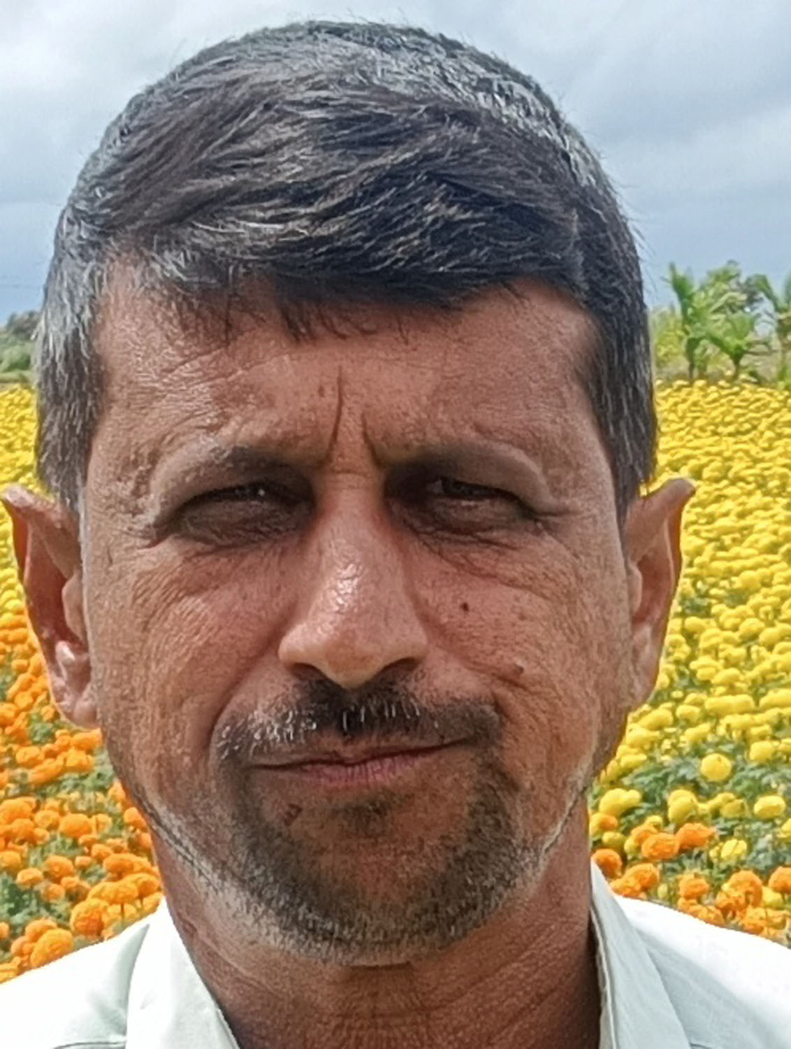 ಜಿ.ಎಚ್.ಹಾಲೇಶ್. ಗ್ರಾ.ಪಂ. ಸದಸ್ಯ