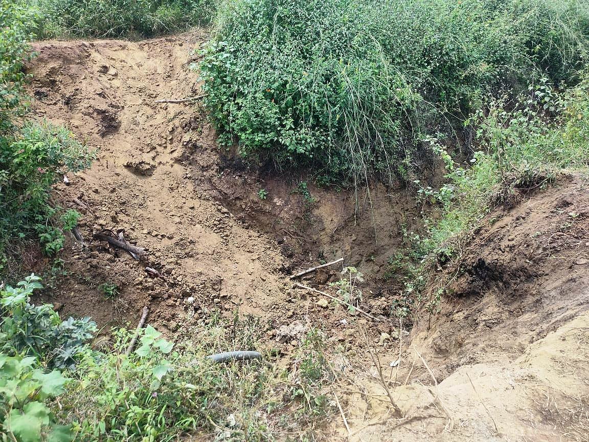 ಕೊಣನೂರು | ಆನೆಗಳಿಗಿಲ್ಲ ಲಗಾಮು: ಬೆಳೆಯೂ ಉಳಿದಿಲ್ಲ, ಪರಿಹಾರವೂ ಸಿಗುತ್ತಿಲ್ಲ 