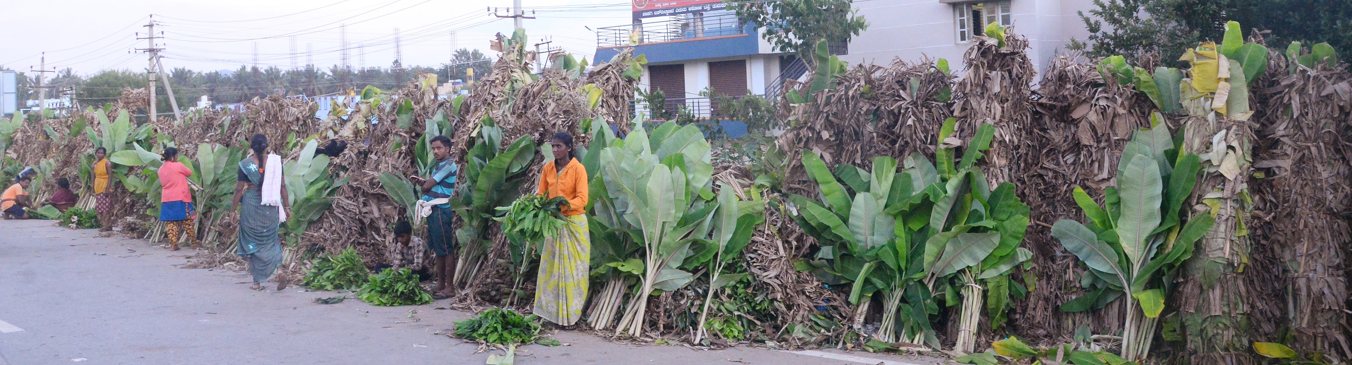 ಮಾರುಕಟ್ಟೆ ಮುಂಭಾಗ ಬಾಳೆ ಕಂದು ಮಾರಾಟ
