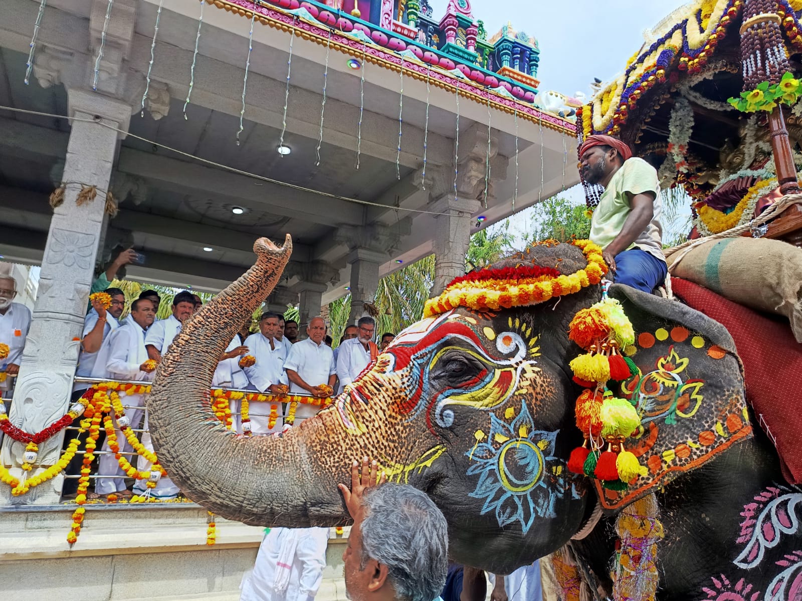 ಸಿರವಾರ ತಾಲ್ಲೂಕಿನ ಹೀರಾ ಗ್ರಾಮದಲ್ಲಿ ಕಳೆದ ವರ್ಷ ನಡೆದಿದ್ದ ಮೆರವಣಿಗೆಯಲ್ಲಿ ಅಂಬಾರಿ ಹೊತ್ತು ಸಾಗಿದ್ದ ಹಂಪಿಯ ಸಾಕು ಆನೆ