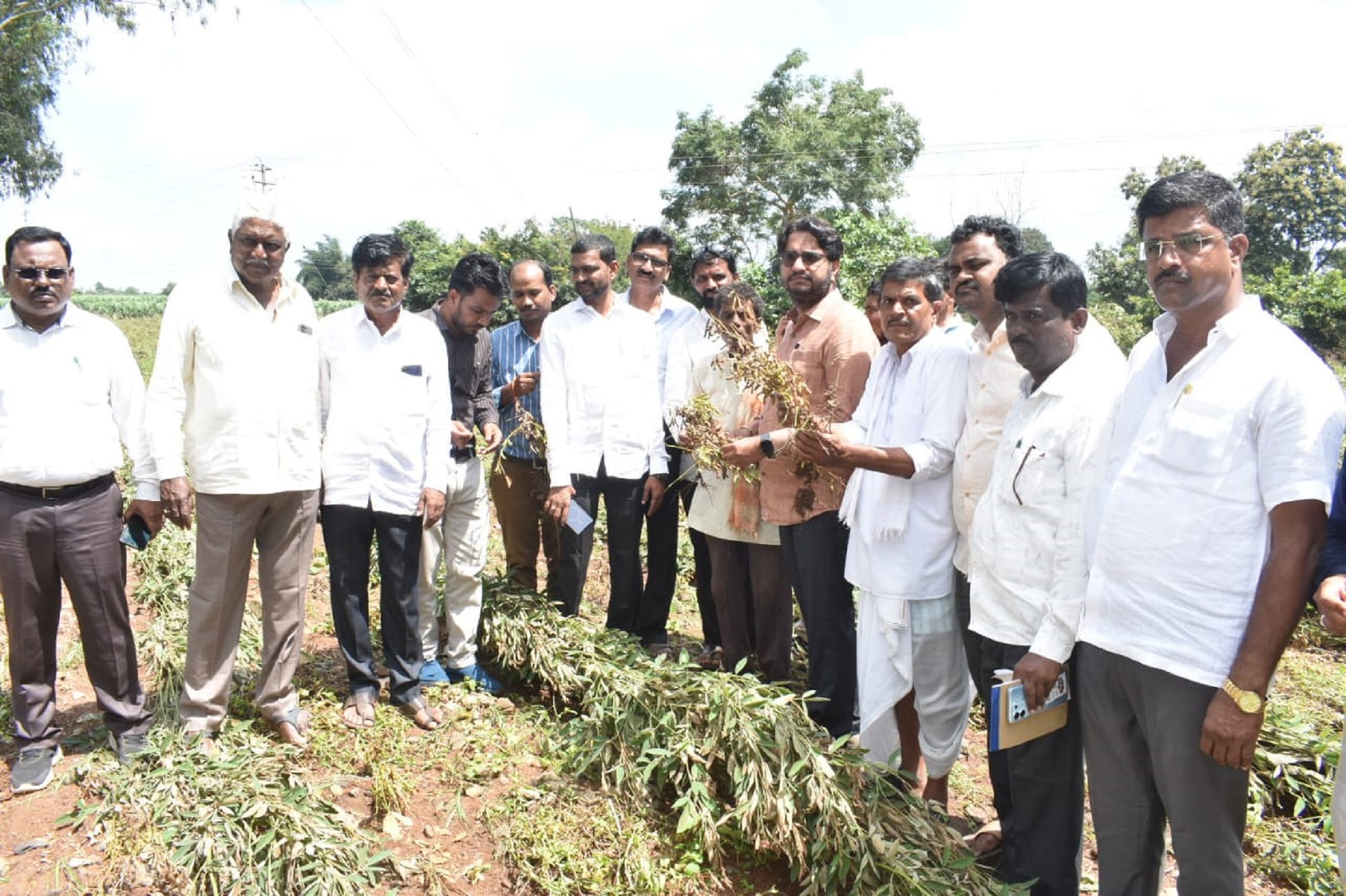 ಚಿಂಚೋಳಿ ತಾಲ್ಲೂಕು ಶಾದಿಪುರದಲ್ಲಿ ಬೆಳೆ ಹಾಳಾಗಿರುವುದನ್ನು ಶಾಸಕ ಡಾ ಅವಿನಾಶ ಜಾಧವ ವೀಕ್ಷಸಿ ರೈತರಿಂದ ಮಾಹಿತಿ ಪಡೆದರು