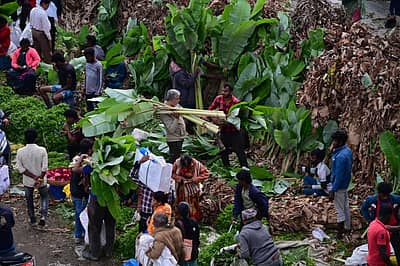 ಬೆಂಗಳೂರಿನ ಕೃಷ್ಣರಾಜ ಮಾರುಕಟ್ಟೆಯಲ್ಲಿ ಮಂಗಳವಾರ ದಸರಾ ಹಬ್ಬದ ಆಯುಧ ಪೂಜೆ ಮುನ್ನ ದಿನ ಹೂವು ಹಣ್ಣು ಮತ್ತು ಪೂಜಾ ಸಾಮಗ್ರಿಗಳನ್ನು ಖರೀದಿಸಲು ಅಪಾರ ಸಂಖ್ಯೆಯಲ್ಲಿ ಜನರು ಸೇರಿದ್ದರು. 