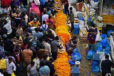 ಬೆಂಗಳೂರಿನ ಕೃಷ್ಣರಾಜ ಮಾರುಕಟ್ಟೆಯಲ್ಲಿ ಮಂಗಳವಾರ ದಸರಾ ಹಬ್ಬದ ಆಯುಧ ಪೂಜೆ ಮುನ್ನ ದಿನ ಹೂವು ಹಣ್ಣು ಮತ್ತು ಪೂಜಾ ಸಾಮಗ್ರಿಗಳನ್ನು ಖರೀದಿಸಲು ಅಪಾರ ಸಂಖ್ಯೆಯಲ್ಲಿ ಜನರು ಸೇರಿದ್ದರು. 