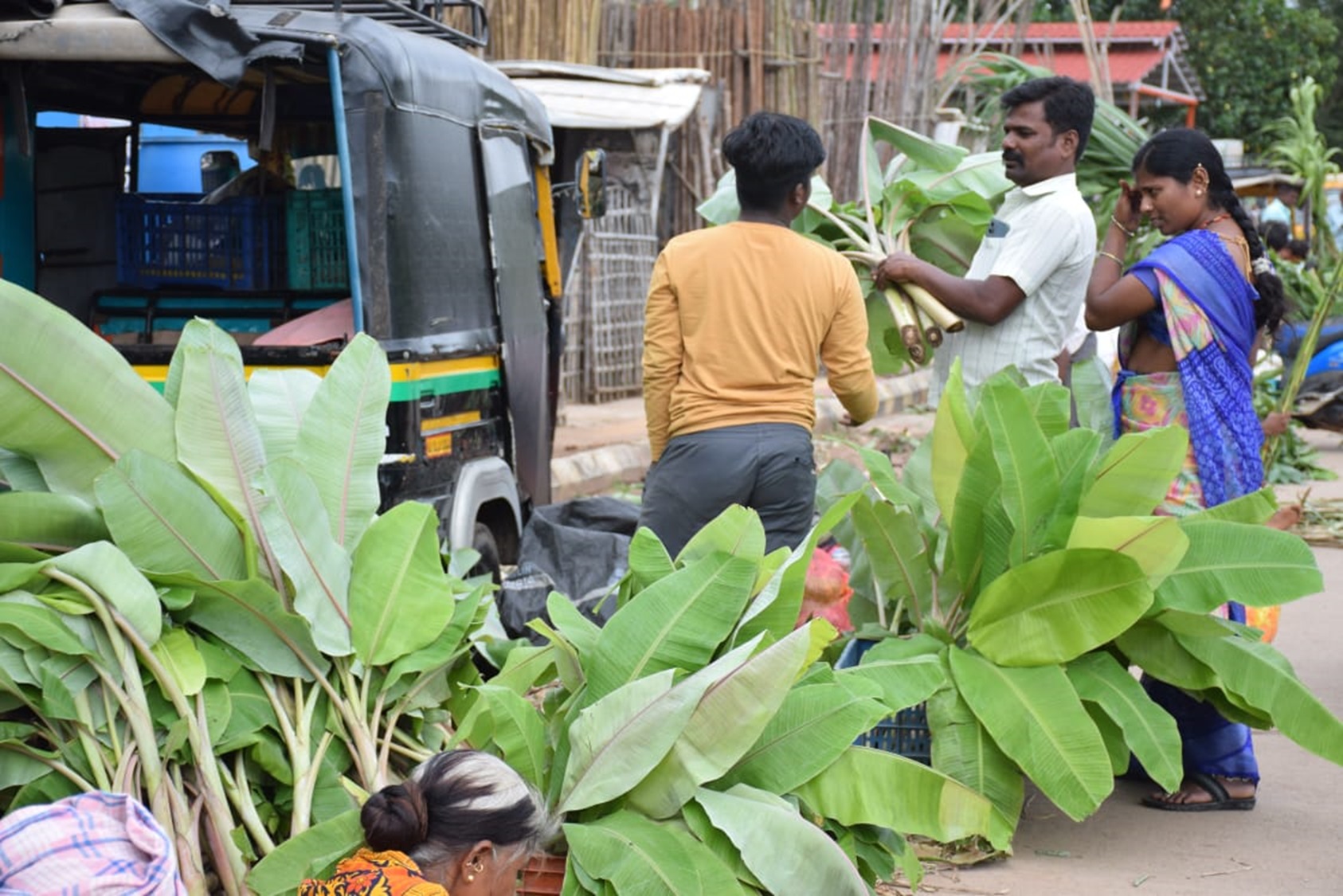 ಬಾಳೆ ಕಂದು ಖರೀದಿಸಿದ ಗ್ರಾಹಕರು