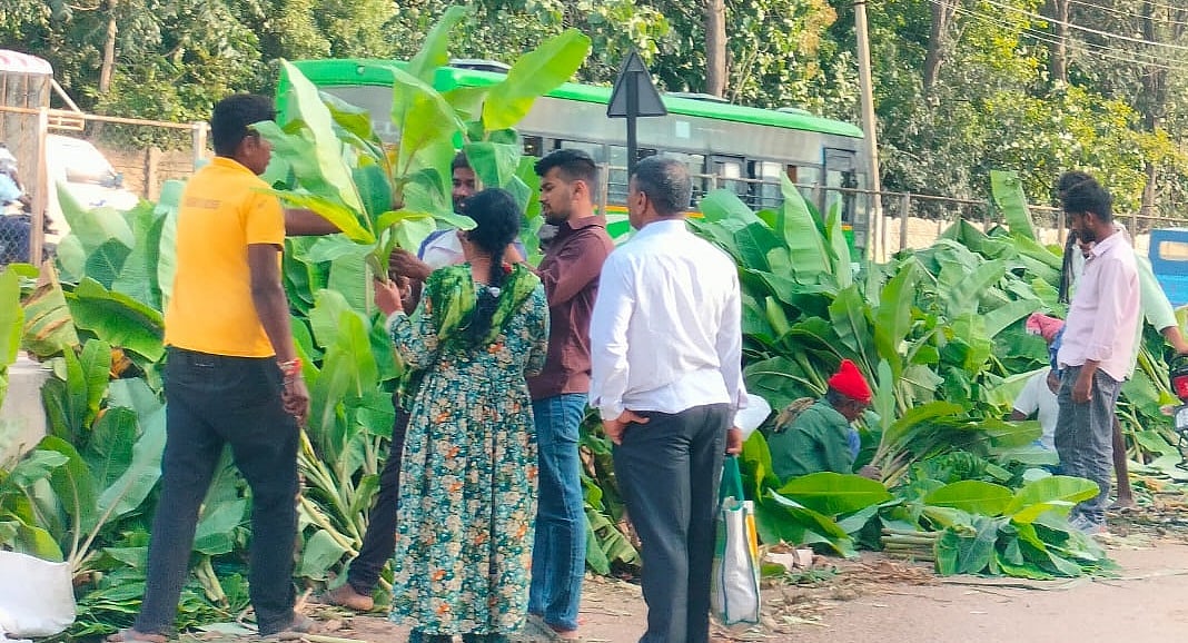 ರಾಮನಗರ | ಆಯುಧ ಪೂಜೆಗೆ ಕಳೆಗಟ್ಟಿದ ಮಾರುಕಟ್ಟೆ: ಹಬ್ಬದ ಸಾಮಗ್ರಿ ಖರೀದಿ ಭರಾಟೆ