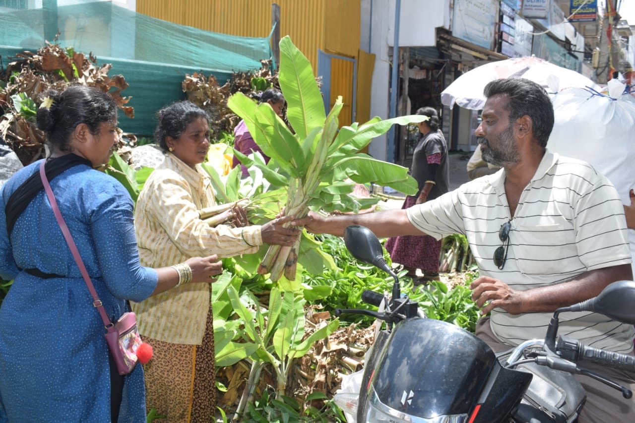 ಬಾಳೆ ಕಂದು ಖರೀದಿಸಿದ ಸಾರ್ವಜನಿಕರು