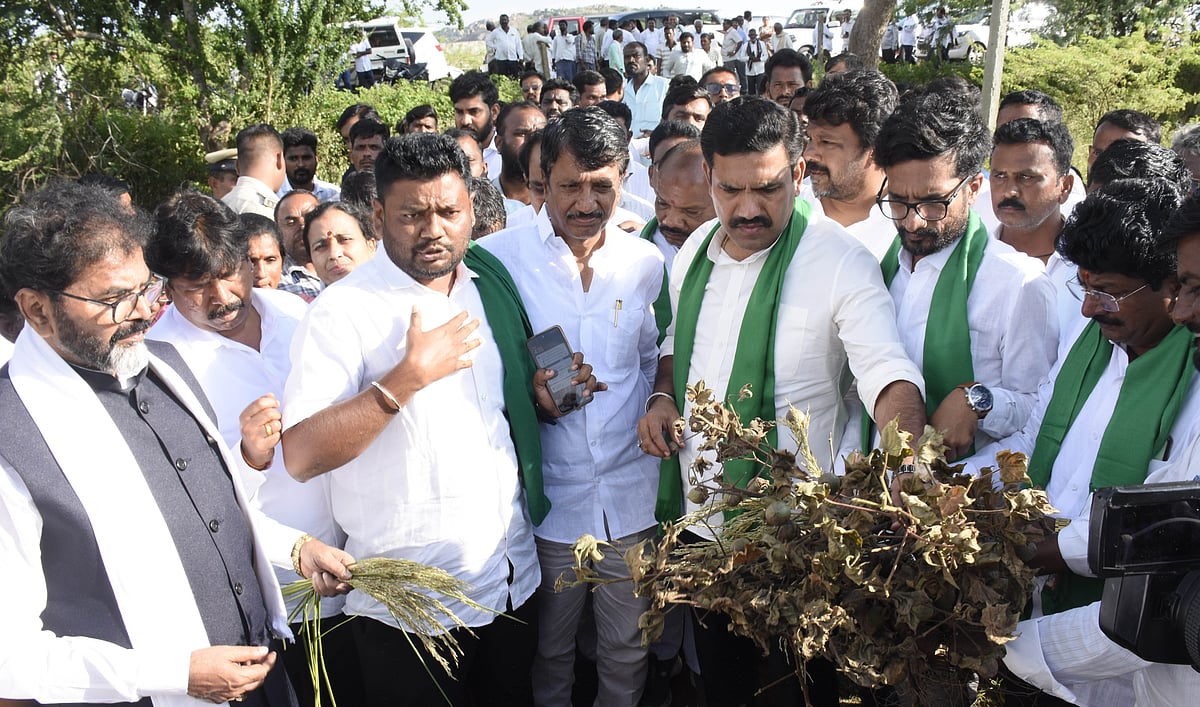 ಪ್ರವಾಹ, ನೆರೆ ಪೀಡಿತ ಪ್ರದೇಶಗಳಿಗೆ BJP ತಂಡ ಭೇಟಿ: ಹಸಿ ಬರಗಾಲ ಘೋಷಣೆಗೆ ಒತ್ತಾಯ 