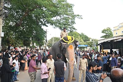 ಮೈಸೂರಿನ ದಿವಾನ್ಸ್ ರಸ್ತೆಯಲ್ಲಿರುವ ಇಮಾಮ್ ಶಾ ವಲೀ ದರ್ಗಾದಲ್ಲಿ ಕ್ಯಾಪ್ಟನ್ ಅಭಿಮನ್ಯು ನೇತೃತ್ವದ ದಸರಾ ಗಜಪಡೆಯು ಜಂಬೂಸವಾರಿಗೆ  ಮುನ್ನ ದಿನವಾದ ಬುಧವಾರ ಆಶೀರ್ವಾದ ಪಡೆಯಿತು