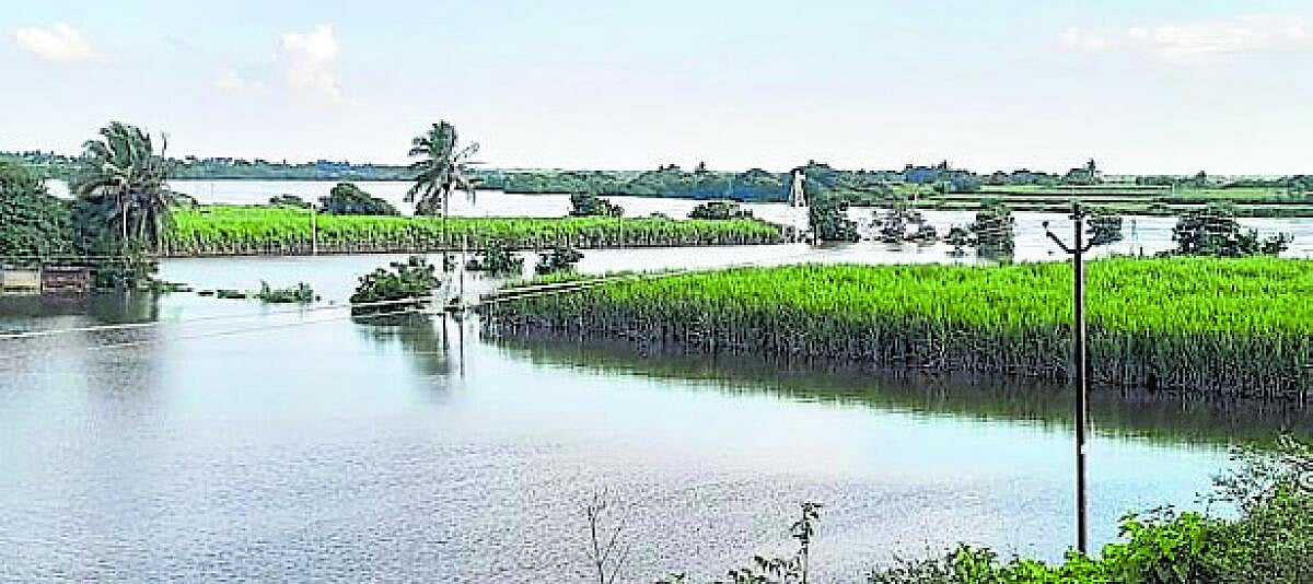 ಚಡಚಣ | ಭೀಮಾ, ಸೀನಾಗೆ ನೀರು: ಆತಂಕ