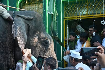ಮೈಸೂರಿನ ದಿವಾನ್ಸ್ ರಸ್ತೆಯಲ್ಲಿರುವ ಇಮಾಮ್ ಶಾ ವಲೀ ದರ್ಗಾದಲ್ಲಿ ಕ್ಯಾಪ್ಟನ್ ಅಭಿಮನ್ಯು ನೇತೃತ್ವದ ದಸರಾ ಗಜಪಡೆಯು ಜಂಬೂಸವಾರಿಗೆ  ಮುನ್ನ ದಿನವಾದ ಬುಧವಾರ ಆಶೀರ್ವಾದ ಪಡೆಯಿತು
