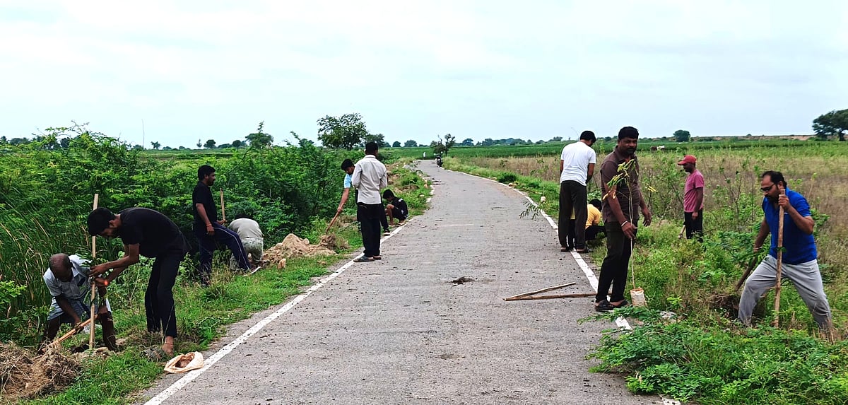ದೇವದುರ್ಗ | ಶರಣರಿಗೊಂದು ಸಸಿ: ಯುವ ಬ್ರಿಗೇಡ್ ಅಭಿಯಾನ