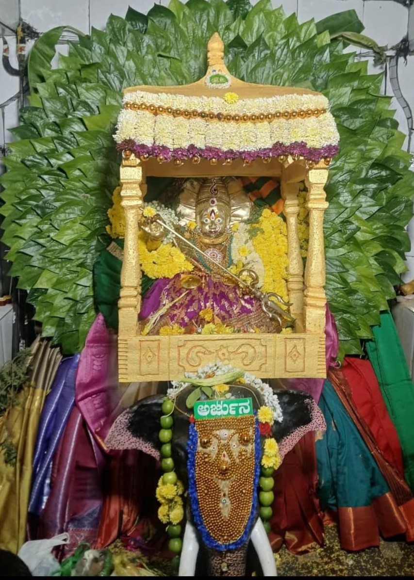 ಅಂಬಾರಿ ಅಲಂಕಾರದಲ್ಲಿ ಬರಗೇರಮ್ಮ ದೇವಿ 