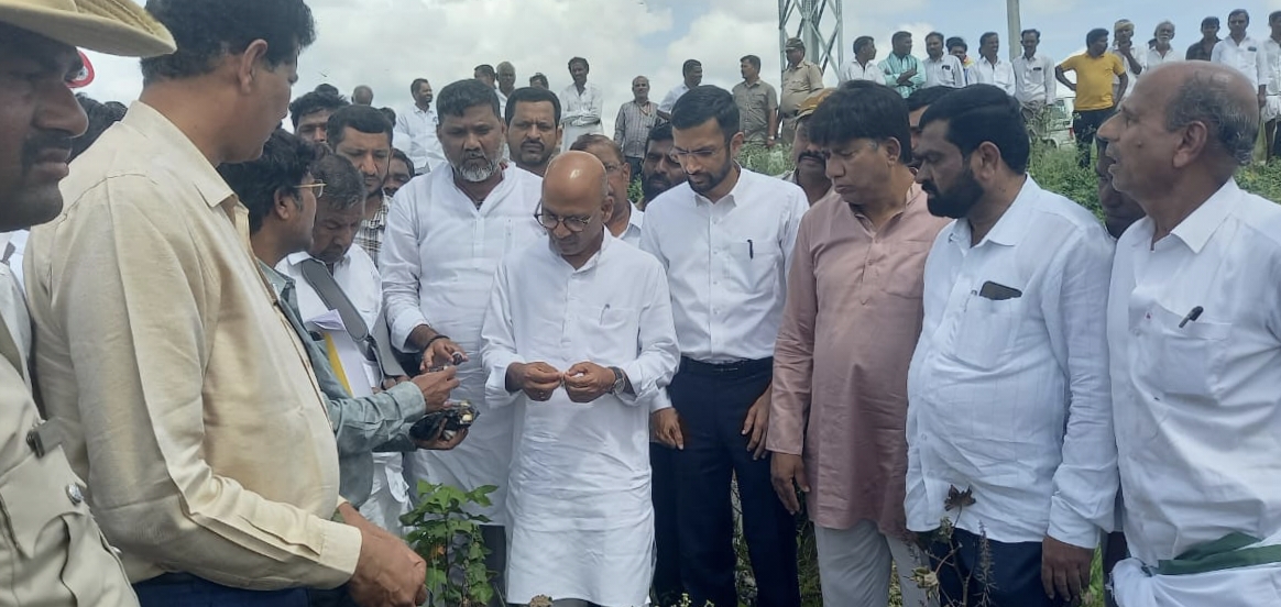 ಮಾನ್ವಿ ತಾಲ್ಲೂಕಿನ ಹಿರೇಕೊಟ್ನೆಕಲ್ ಸಮೀಪದ ಜಮೀನಿನಲ್ಲಿ ಶುಕ್ರವಾರ ಮಳೆಯಿಂದಾಗಿ ಹತ್ತಿ ಬೆಳೆ ಹಾನಿಯಾಗಿರುವ ಕುರಿತು ಜಿಲ್ಲಾ ಉಸ್ತುವಾರಿ ಸಚಿವ ಡಾ.ಶರಣಪ್ರಕಾಶ ಪಾಟೀಲ ಅವರು ರೈತರು ಹಾಗೂ ಅಧಿಕಾರಿಗಳಿಂದ ಮಾಹಿತಿ ಪಡೆದರು