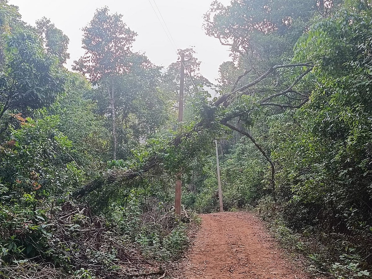 ಕುದುರೆಮುಖ: ಕಾಡಂಚಿನ ಗ್ರಾಮಗಳಿಗೆ ಸಿಗದ ವಿದ್ಯುತ್