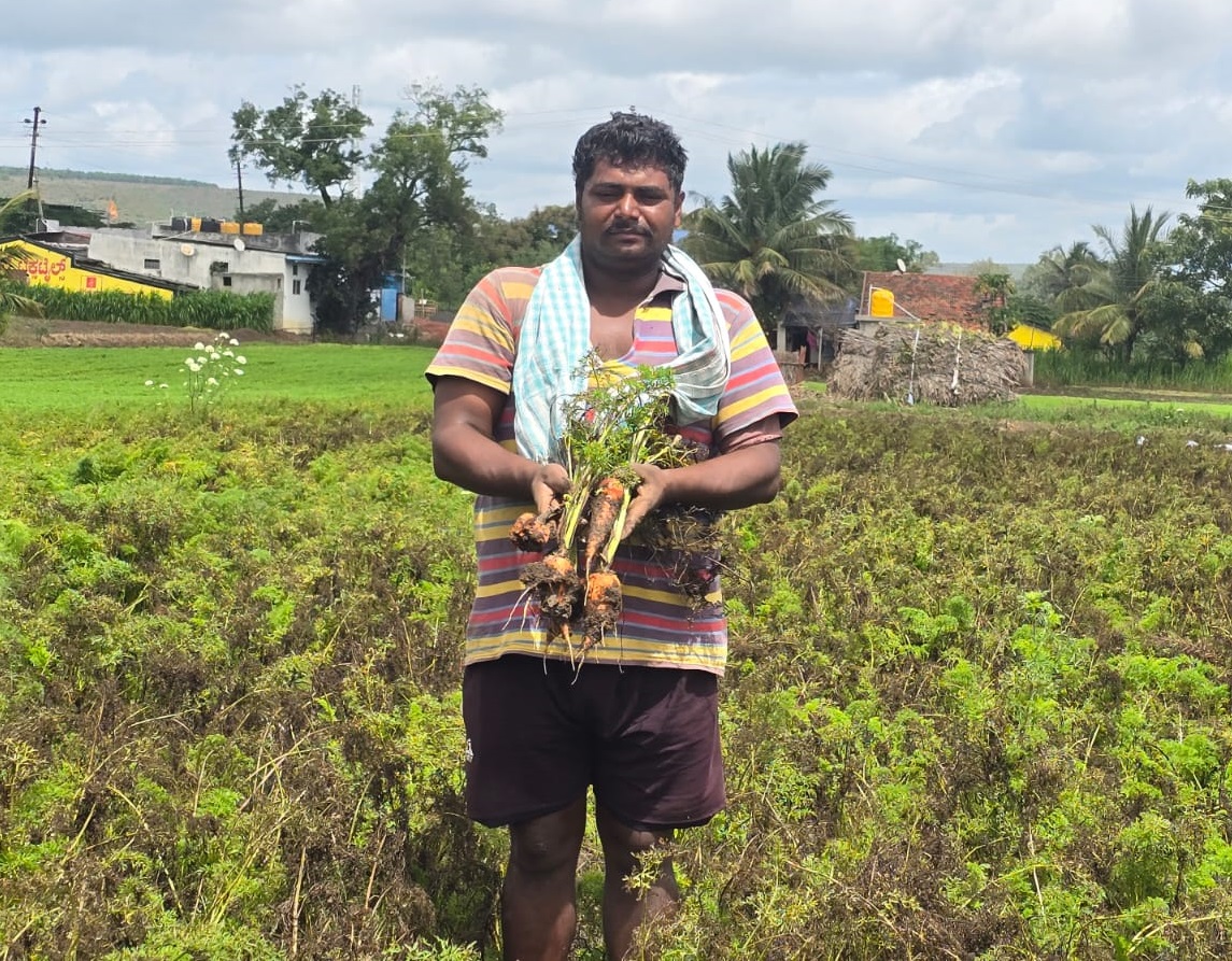 ಬೈಲಹೊಂಗಲ ತಾಲ್ಲೂಕಿನ ನೇಸರಗಿಯಲ್ಲಿ ಕ್ಯಾರೇಟ್‌ ಬೆಳೆ ಹಾನಿಯಾಗಿರುವುದನ್ನು ರೈತ ಈರಣ್ಣ ಮೀಶಿಪಾಟೀಲ ತೋರಿಸಿದರು
ಪ್ರಜಾವಾಣಿ ಚಿತ್ರ