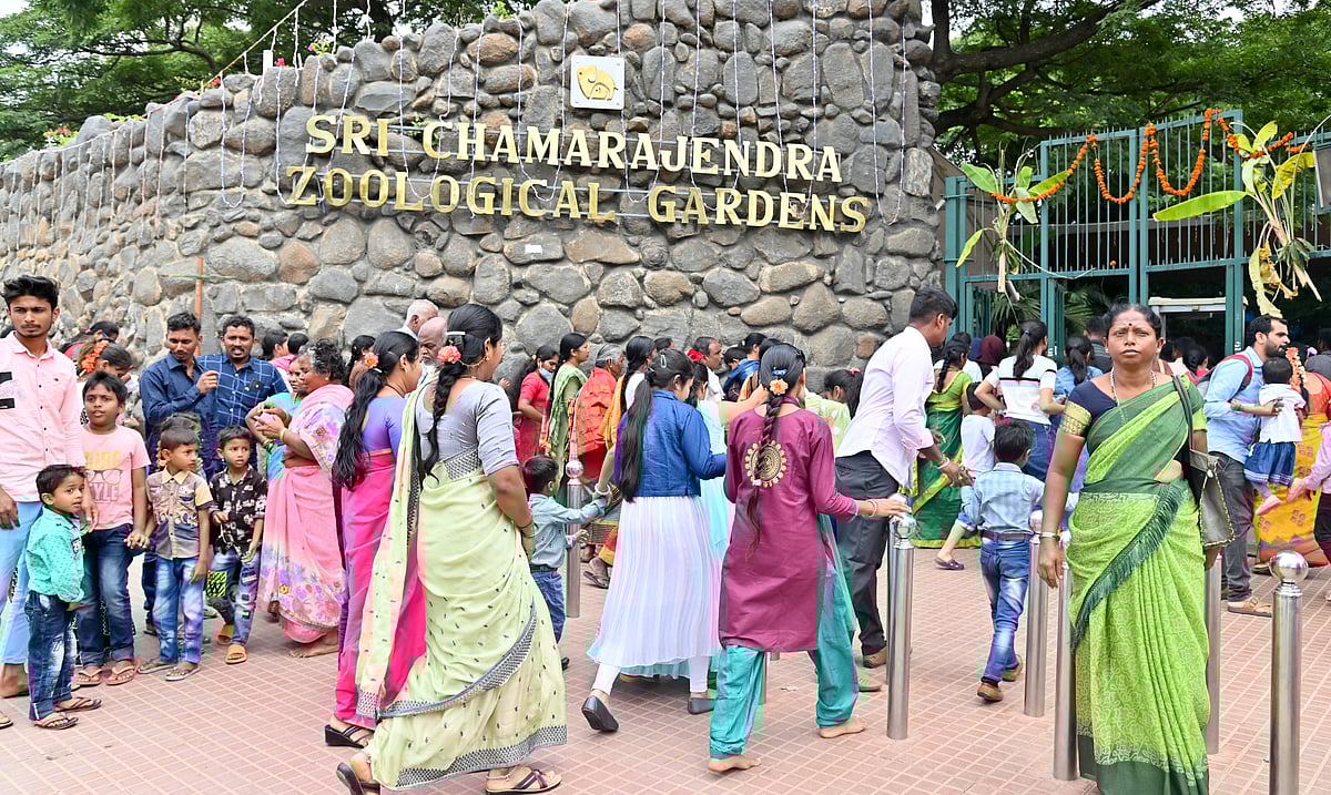 ಚಾಮರಾಜೇಂದ್ರ ಮೃಗಾಲಯದಿಂದ ವಿದ್ಯಾರ್ಥಿಗಳಿಗೆ ಬೇಸಿಗೆ ಶಿಬಿರ