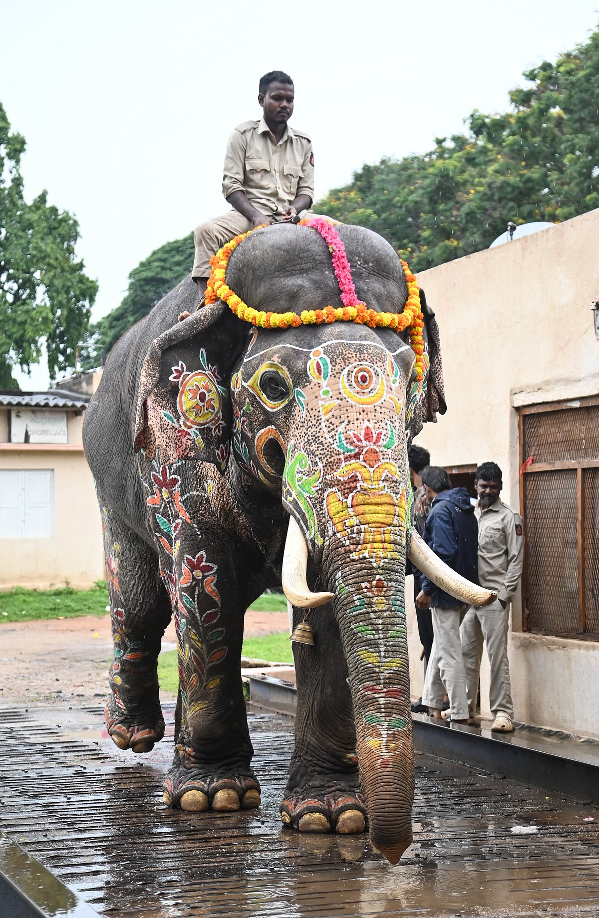 ಅಭಿಮನ್ಯು ಉತ್ತರಾಧಿಕಾರಿ ಯಾರು? ಭರವಸೆ ಮೂಡಿಸಿದ ಪ್ರಶಾಂತ ಮಹೇಂದ್ರ, ಧನಂಜಯ