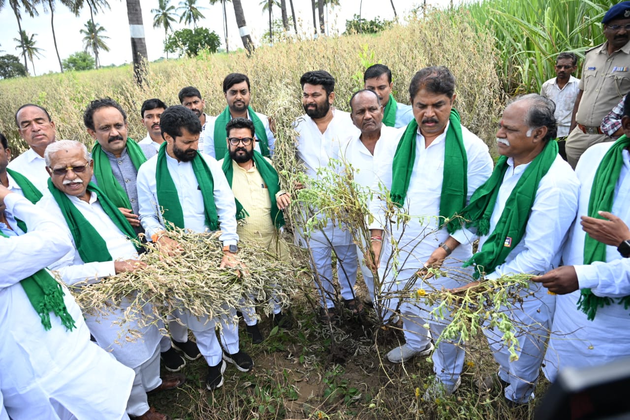 ವಿಜಯಪುರ ಜಿಲ್ಲೆಯ ಇಂಡಿ ತಾಲ್ಲೂಕಿನ ಅಗರಖೇಡ  ಗ್ರಾಮದಲ್ಲಿ ಭೀಮಾ ನದಿ ಪ್ರವಾಹಕ್ಕೆ ತುತ್ತಾಗಿರುವ ತೊಗರಿ ಬೆಳೆಯನ್ನು ವಿಧಾನಸಭೆ ವಿರೋಧ ಪಕ್ಷದ ನಾಯಕ ಆರ್‌.ಅಶೋಕ ವಿಧಾನ ಪರಿಷತ್‌ ಸದಸ್ಯರಾದ ಸಿ.ಟಿ.ರವಿ ಎನ್‌.ರವಿಕುಮಾರ್‌ ಬಿಜೆಪಿ ರೈತ ಮೋರ್ಚಾ ರಾಜ್ಯ ಘಟಕದ ಅಧ್ಯಕ್ಷ ಎ.ಎಸ್‌.ಪಾಟೀಲ ನಡಹಳ್ಳಿ ಶನಿವಾರ ವೀಕ್ಷಿಸಿದರು
ಪ್ರಜಾವಾಣಿ ಚಿತ್ರ