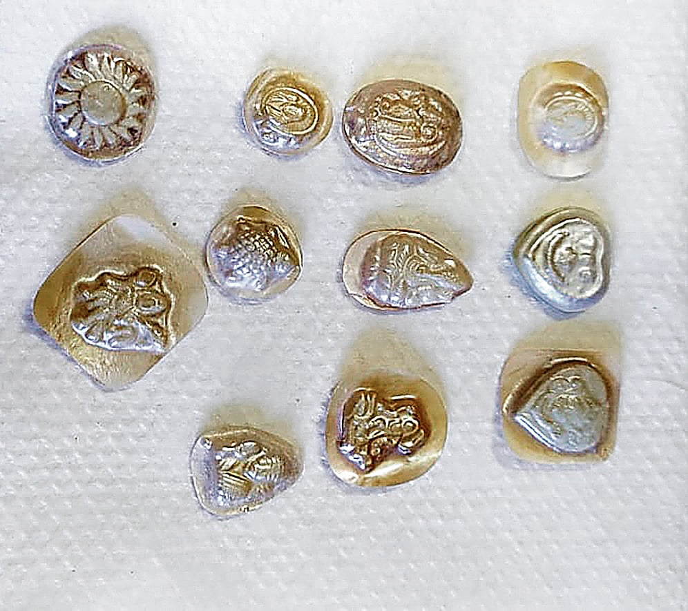 Pearl Farming: ಮುತ್ತು ಬೆಳೆದವರ ಕಥೆ!