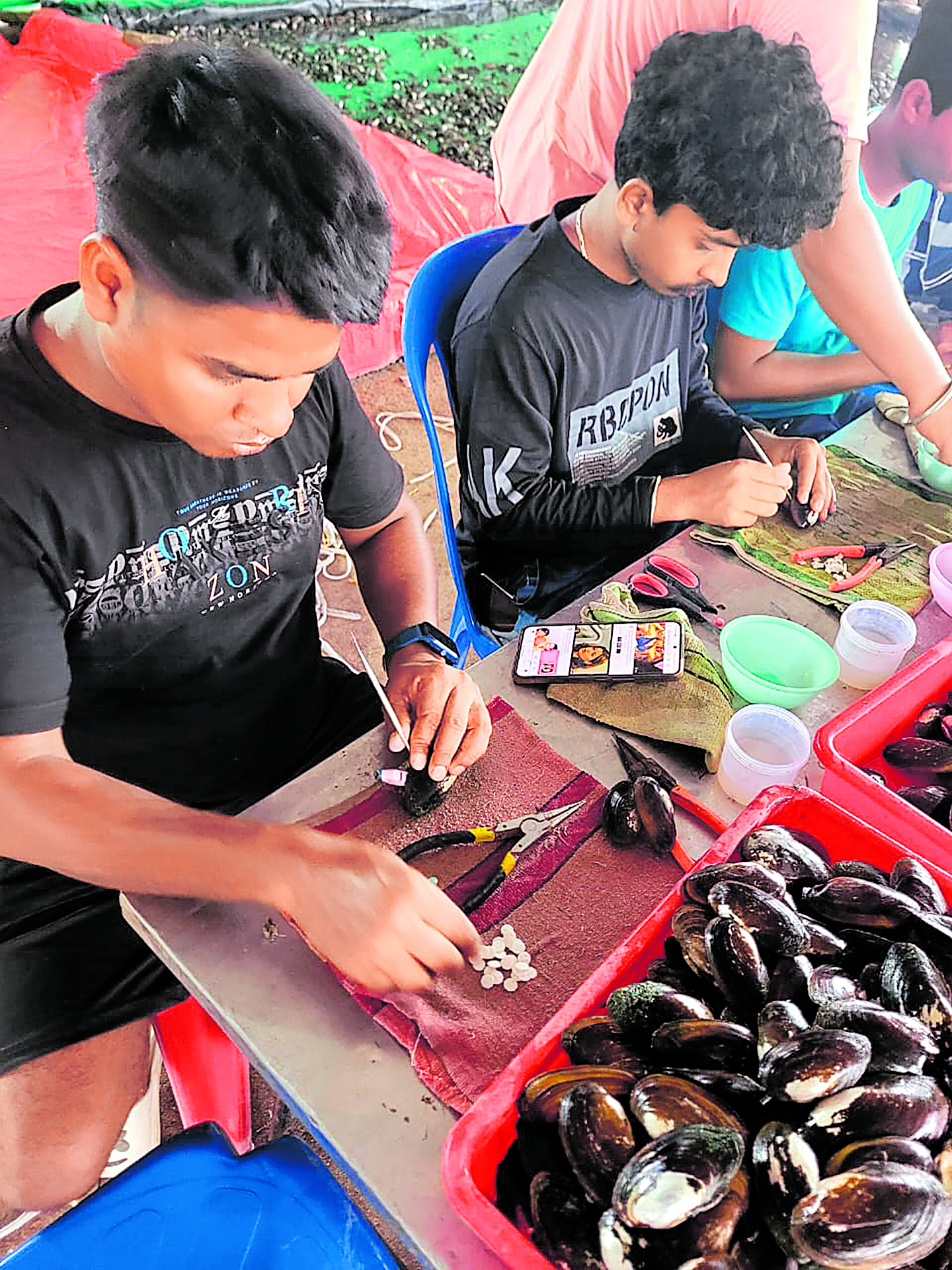ಕಪ್ಪೆ ಚಿಪ್ಪುಗಳಿಗೆ ಕುಶಲಿಗಳಿಂದ ಸರ್ಜರಿ
