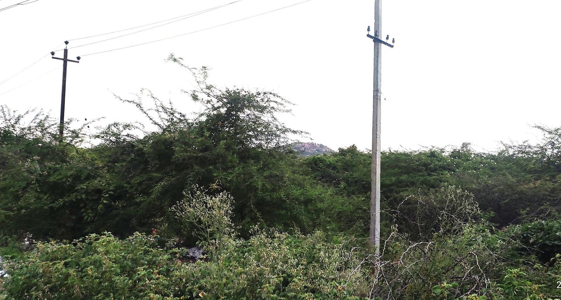ಇದನ್ನು ಬಳಸಿ (ಡಿಸಿ ಸಾಕು)
ರಾಯಚೂರು ಜಿಲ್ಲೆಯ ದೇವದುರ್ಗ ಪಟ್ಟಣದ ಹೊರವಲಯದಲ್ಲಿ ಕೆಐಎಡಿಬಿ ವಶಪಡಿಸಿಕೊಂಡ ಭೂಮಿ ಬಳಕೆಯಾಗದೇ ಗಿಡಗಂಟಿಗಳು ಬೆಳೆದಿರುವುದು