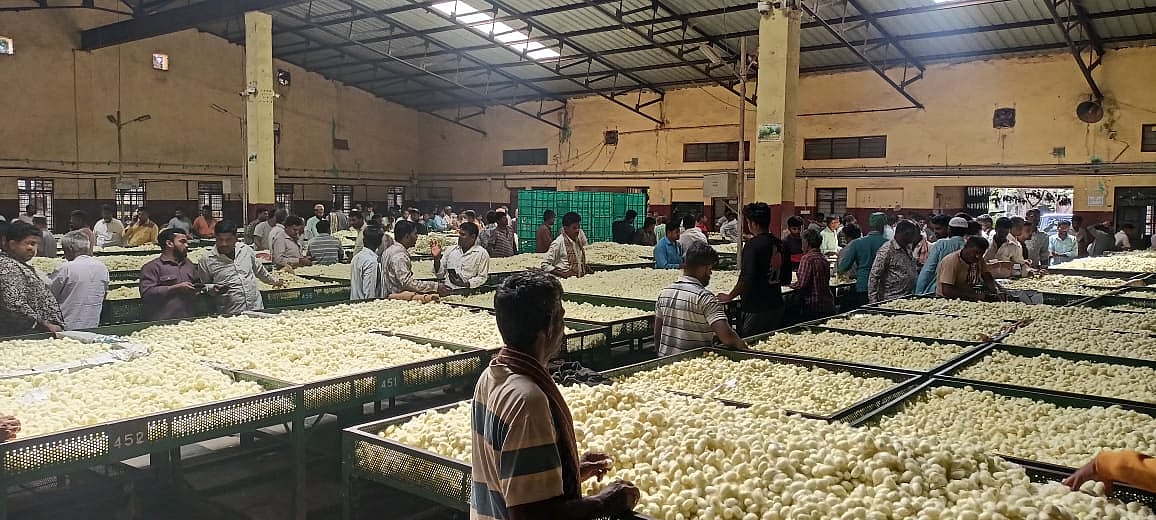 ಶಿಡ್ಲಘಟ್ಟ: ರೇಷ್ಮೆಗೂಡು ಮಾರುಕಟ್ಟೆ ಆವಕ ಕುಸಿತ