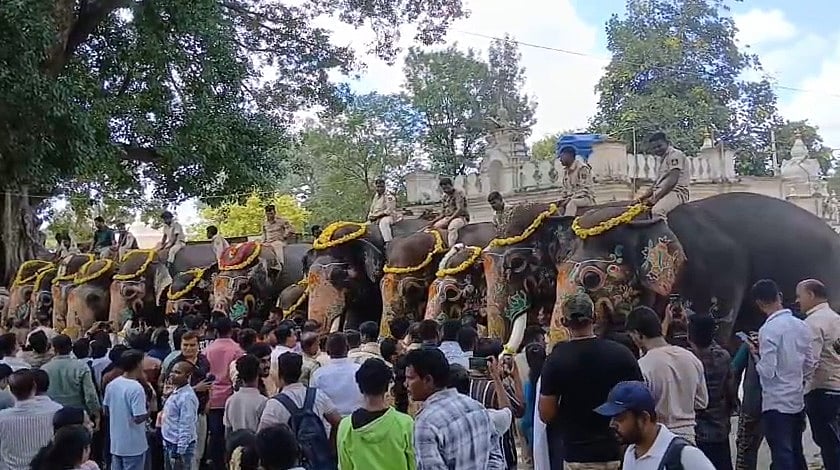 ಮೈಸೂರು ದಸರಾ | ಗಜಪಡೆಗೆ ಸಾಂಪ್ರದಾಯಿಕ   ಬೀಳ್ಕೊಡುಗೆ: ಕಾಡಿಗೆ ವಾಪಸ್ ಆದ ಆನೆಗಳು