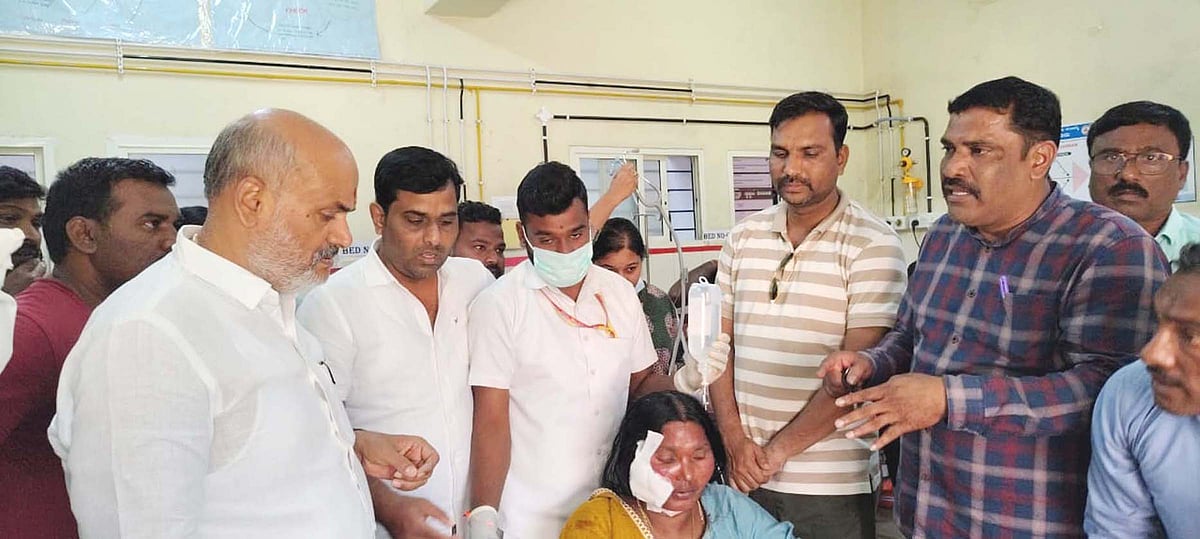 ಬೇಲೂರು: ಸಮೀಕ್ಷೆ ನಡೆಸುತ್ತಿದ್ದ ಶಿಕ್ಷಕಿ ಸೇರಿ 7 ಜನರ ಮೇಲೆ ನಾಯಿಗಳ ದಾಳಿ