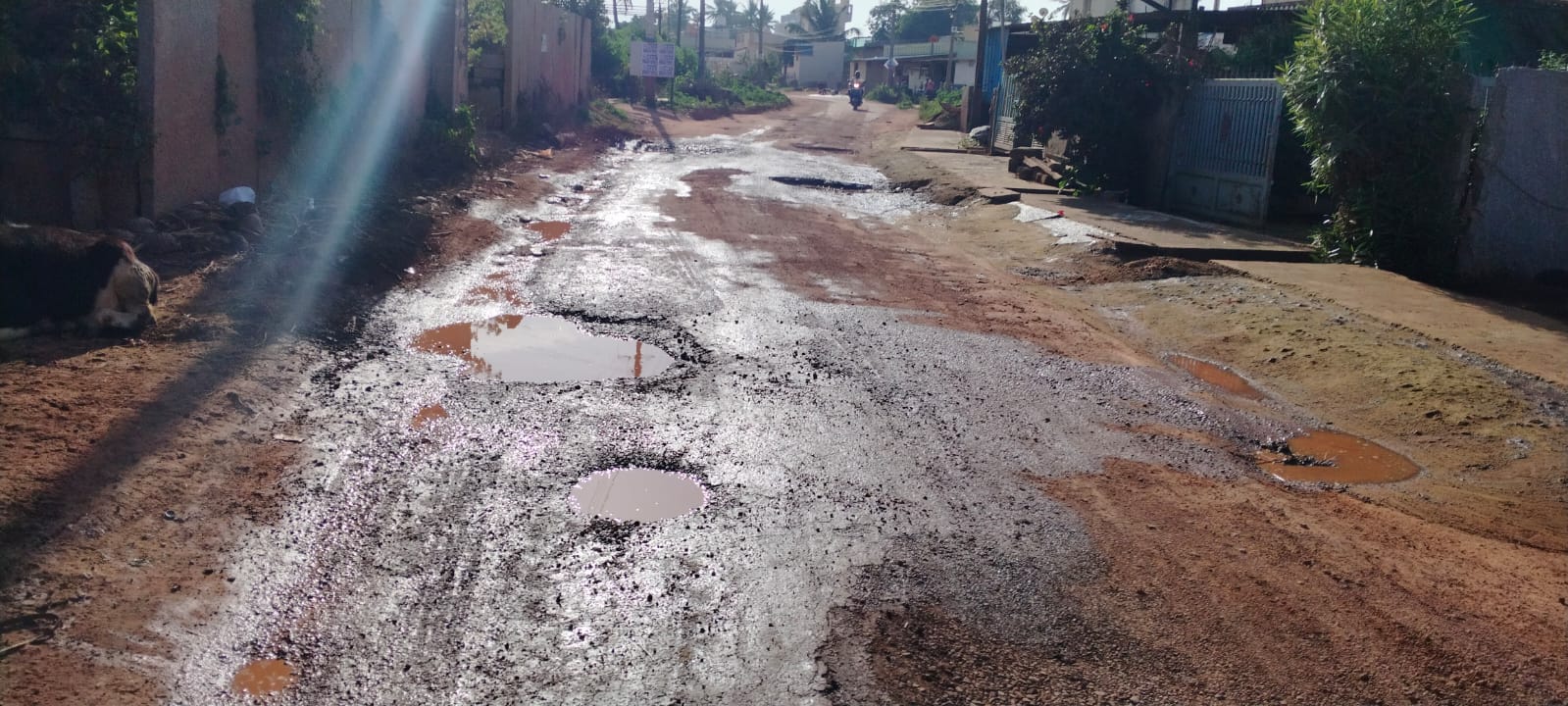 ಹಸಿಗಾಳದ ರಸ್ತೆ ಗುಂಡಿಮಯ