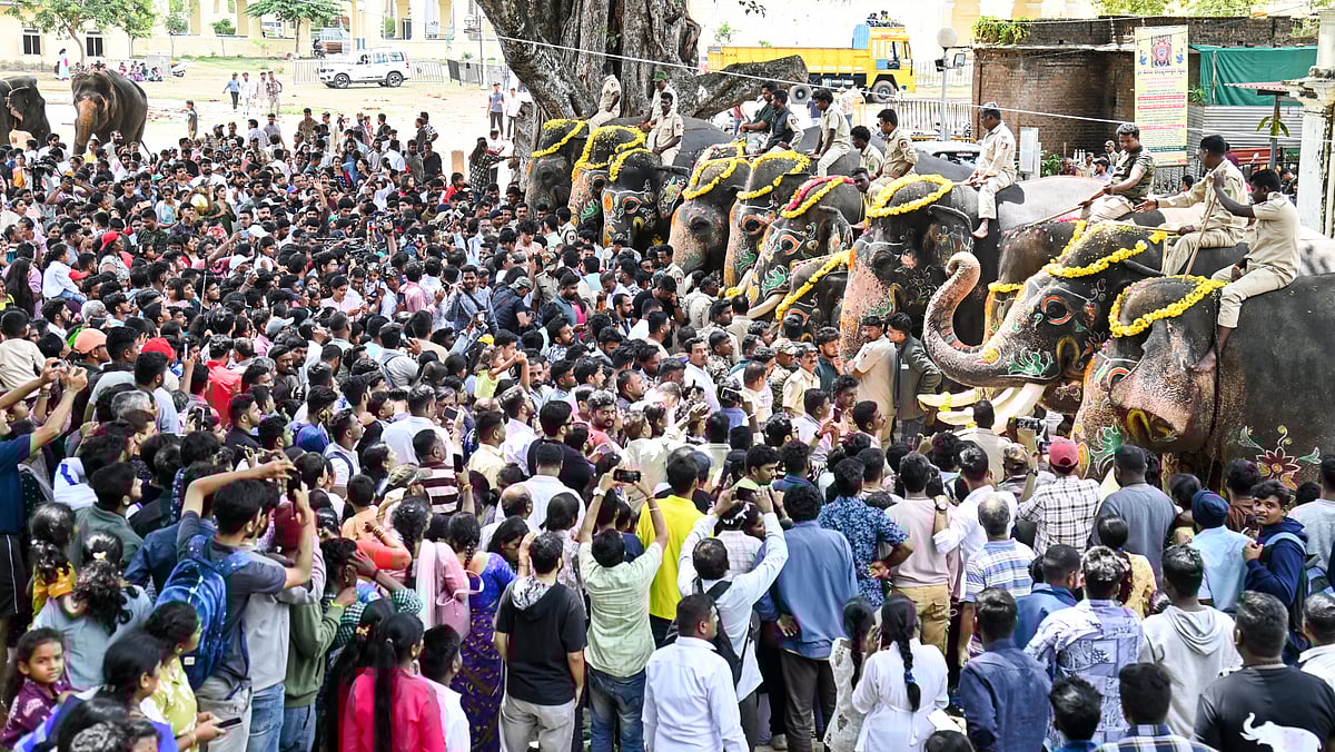 ಮೈಸೂರು ದಸರಾ: ಗಜಪಡೆಗೆ ಭಾವಪೂರ್ಣ ಬೀಳ್ಕೊಡುಗೆ