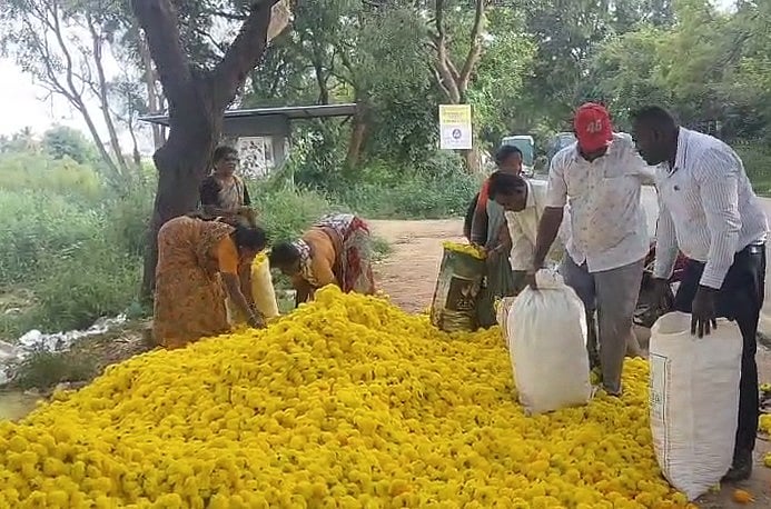 ಬಂಗಾರಪೇಟೆ | ಬೆಲೆ ಕುಸಿತ: ರಸ್ತೆಗೆ ಹೂವು ಚೆಲ್ಲಿದ ರೈತರು