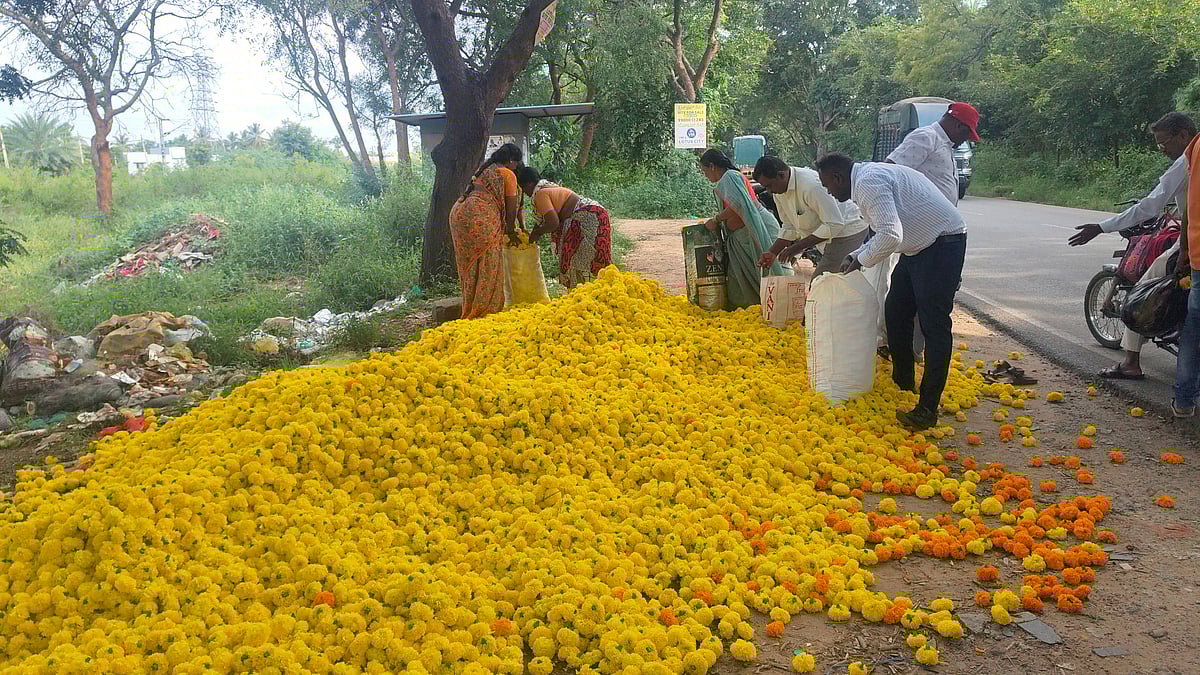 ಬಂಗಾರಪೇಟೆ | ಬೆಲೆ ಕುಸಿತ: ರಸ್ತೆಗೆ ಹೂವು ಸುರಿದ ರೈತರು