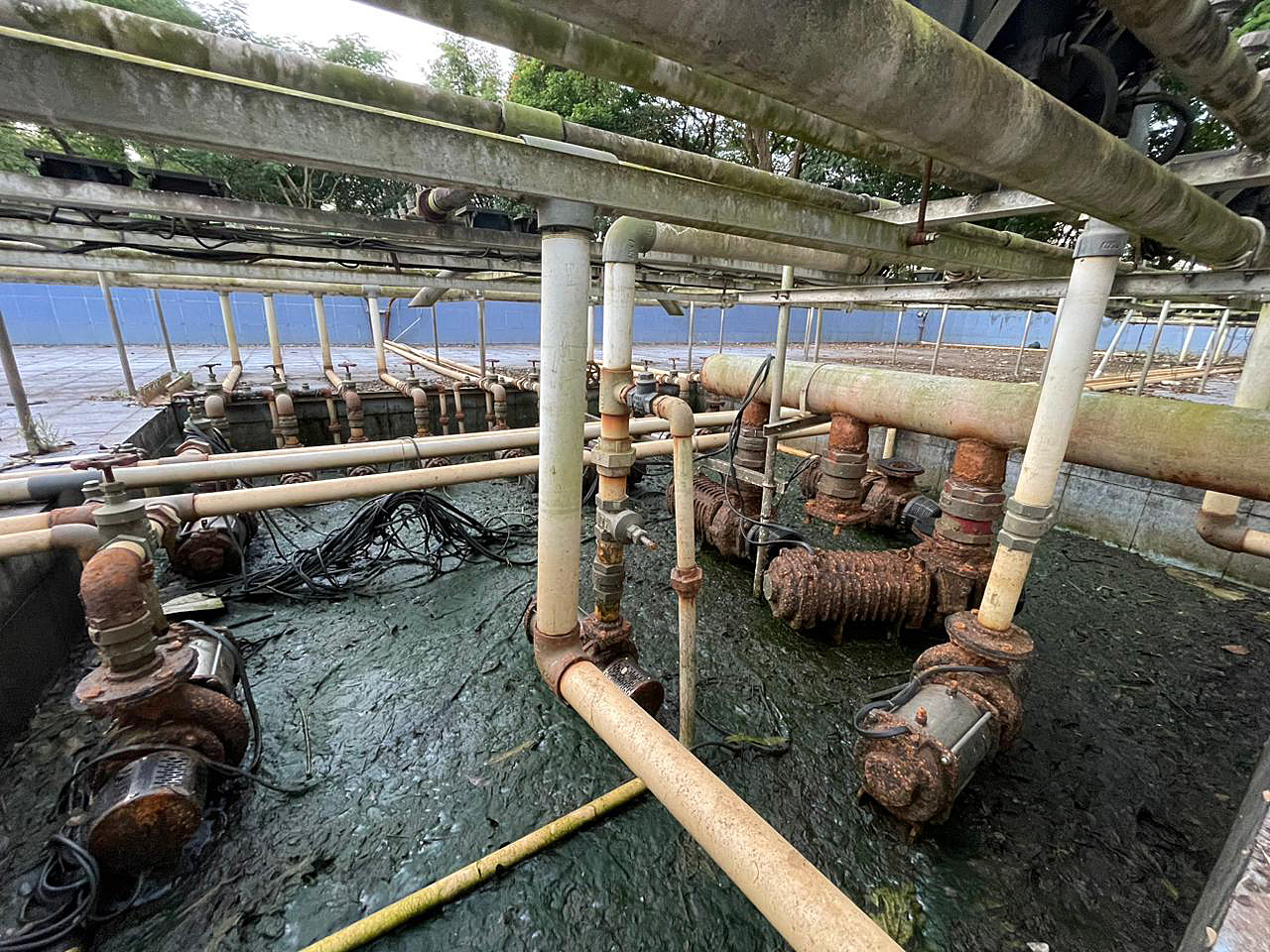 ಮಂಗಳೂರಿನ ಕದ್ರಿ ಉದ್ಯಾನದಲ್ಲಿರುವ ಸಂಗೀತ ಕಾರಂಜಿಯ ಯಂತ್ರಗಳು ನಿರ್ವಹಣೆ ಇಲ್ಲದೆ ಸೊರಗಿವೆ : ಪ್ರಜಾವಾಣಿ ಚಿತ್ರ  