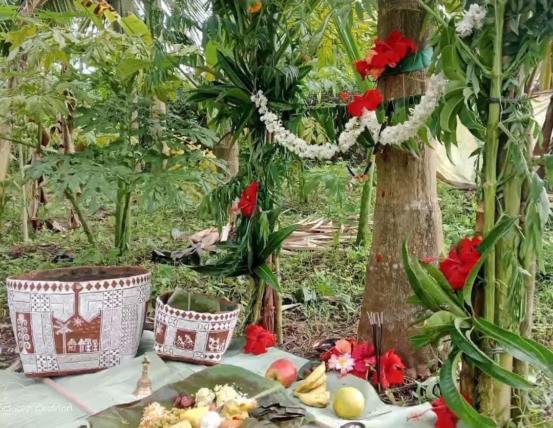 ಭೂಮಿ ತಾಯಿಗೆ ಸೀಮಂತ: ಮಲೆನಾಡಿಗರ ವಿಶೇಷ ‘ಭೂಮಿ ಹುಣ್ಣಿಮೆ‘ ಆಚರಣೆಯ ಸೊಬಗು