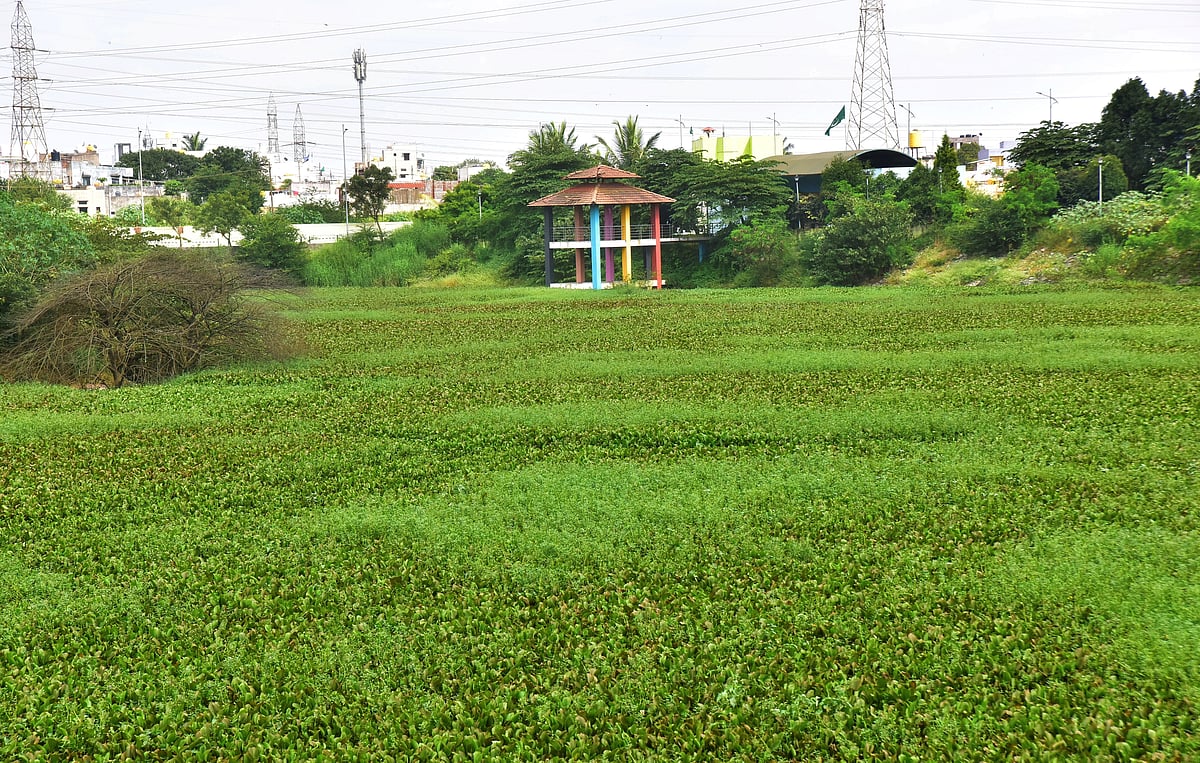 ಹುಬ್ಬಳ್ಳಿ: ಹಾಳು ಕೊಂಪೆಯಾದ ಕೆಂಪಕೆರೆ ಉದ್ಯಾನ