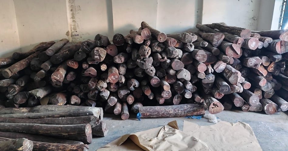 ತಿರುಪತಿಯಿಂದ ಕಳ್ಳಸಾಗಣೆ ಮಾಡುತ್ತಿದ್ದ 10 ಟನ್ ರಕ್ತಚಂದನ ವಶ: ಇಬ್ಬರ ಬಂಧನ