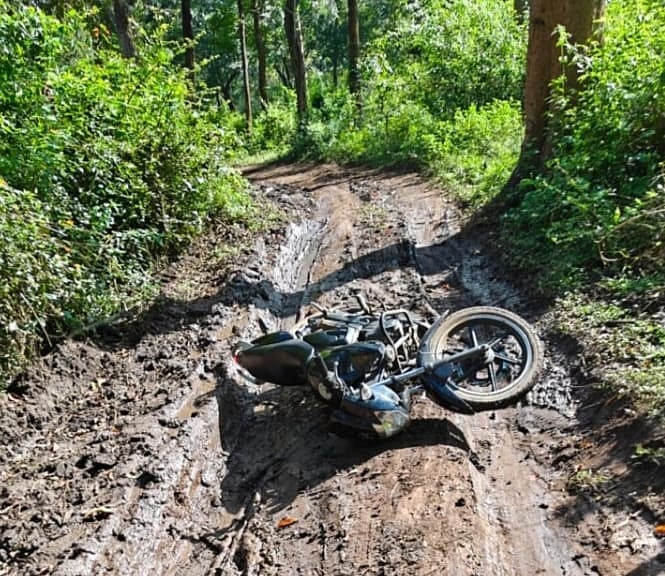 ಕೊಡಗು | ಗಣತಿ ವೇಳೆ ಎದುರಾದ ಆನೆ: ಶಿಕ್ಷಕನಿಗೆ ಗಾಯ