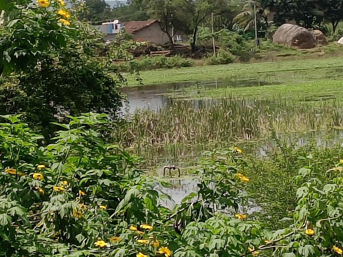 ಎಂ.ಕೆ.ಹುಬ್ಬಳ್ಳಿಯ ತುಂಬುಕೆರೆಯಲ್ಲಿ ಮುಳುಗಿದ ಬೋರ್‌ವೆಲ್‌