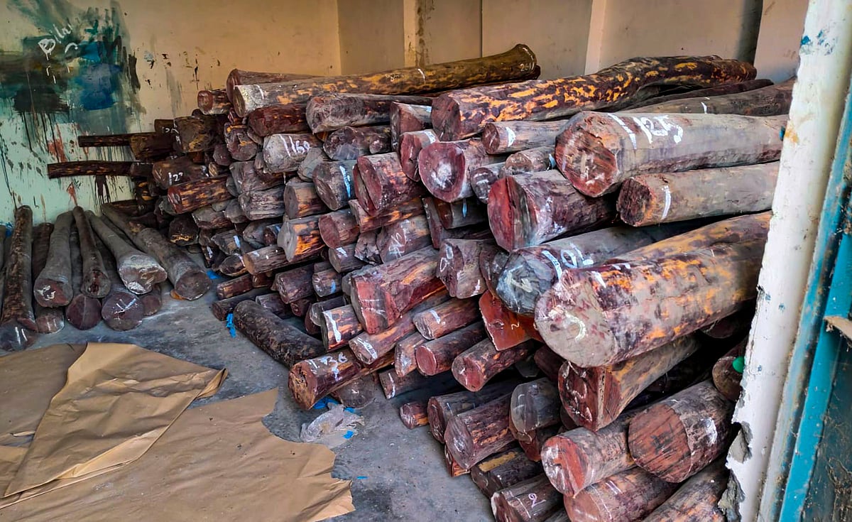 ಚೀನಾಕ್ಕೆ ಕಳ್ಳಸಾಗಣೆ ಯತ್ನ: ₹6 ಕೋಟಿ ಮೌಲ್ಯದ ರಕ್ತಚಂದನ ವಶ