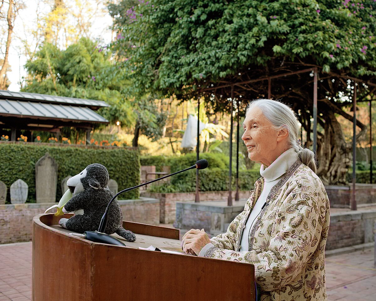 ನಾಗೇಶ ಹೆಗಡೆಯವರ ವಿಜ್ಞಾನ ವಿಶೇಷ ಅಂಕಣ: ಮೂಕಲೋಕದ ‘ಅಮ್ಮ’ನಿಗೆ ವಿದಾಯ